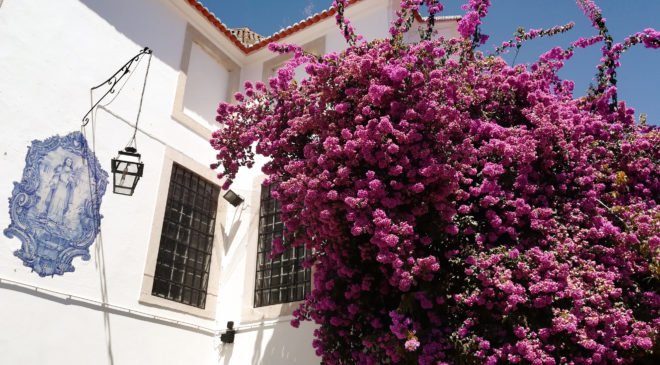 Miradouro de Santa Luzia